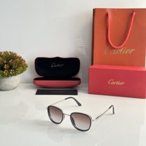 Cartier 2802 Silver Brown DC
