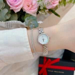 Daniel Wellington DW elan Lumine JAPAN QUALITY