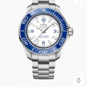 Omega Seamaster Planet Ocean 600M